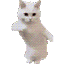 :ai_cat_dance: