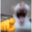 :cat_laughing: