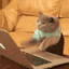 :codin: