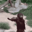 :come_here_monkey: