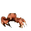 :crabrave: