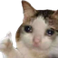 :cry_thumbs_up: