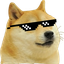 :dogeshbhai: