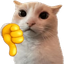 :downvote: