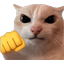 :fight:
