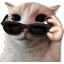 :glasses: