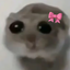 :hamstermeme: