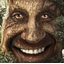 :happy_wise_tree: