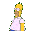 :homer_hide: