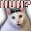 :huhcat: