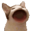 :hyper_popper: