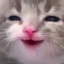 :kitty_happy: