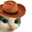 :mmeowdy: