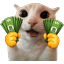 :money_hands: