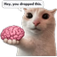:nobrain: