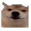 :okay_bro: