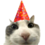 :partycat:
