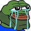 :pepe_crying: