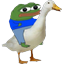 :pepe_goose: