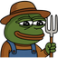 :pepefarmer: