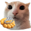 :ring: