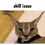 :skill_issue: