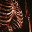 :skull: