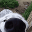 :sniffy: