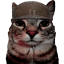 :soldjacat: