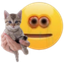 :take_cat: