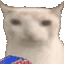 :verycat: