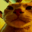 :vibecat: