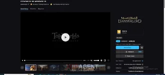 Mount Blade II BANNERLORD.webp